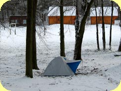 Zuallsbild